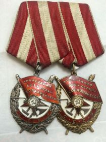 Орден Красного знамени (дважды)