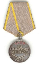 Медали: "За отвагу", "За боевые заслуги".