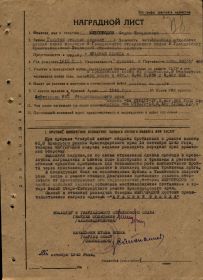 Удостоверение к медали "За победу над Германией в Великой Отечественной войне 1941-1945 гг." (стр.1)