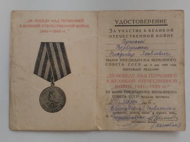 Медаль «За победу над Германией в Великой Отечественной Войне 1941-1945 гг.»