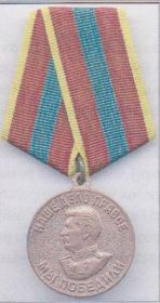Медаль за доблестный труд в Великой Отечественной войне 1941-1945гг.