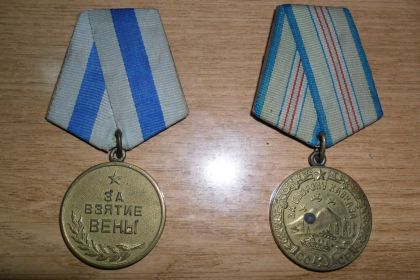 медаль "За оборону Кавказа" , "За взятие Вены"