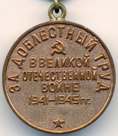 медали за доблестный труд в ВОВ 41-45гг