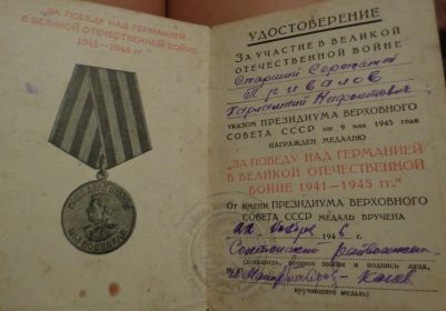 Медаль за Победу над Германией в1941-1945