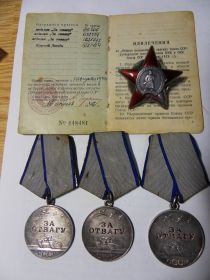 Медаль "За отвагу" 23.07.1943, медаль "За отвагу" 27.12.1943, медаль "За отвагу" 06.11.1944, "Красная звезда" 15.04.1945 г.