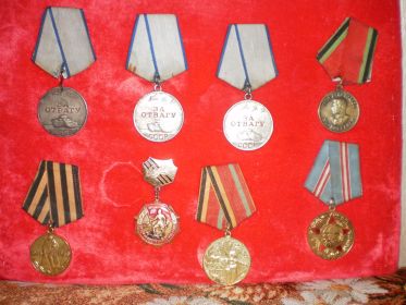 3 медали за отвагу; Медаль "За победу над Германией в Великой Отечественной войне 1941-1945 гг"