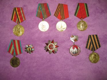 медаль "За победу над Германией в Великой Отечественной Войне, 1941-1945 гг."