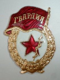 Нагрудный знак "Гвардия"