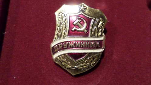 Знак Дружинника