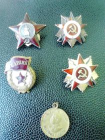 Орден Красной Звезды,Орден Отечественной войны I степени, медаль за взятие Берлина,медаль за Победу над Германией