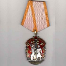 медаль "За доблестный труд в ВОВ" и орден "Знак почета"