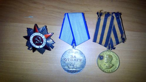 орден отечественной войны, медаль за победу над Германией,медаль за отвагу
