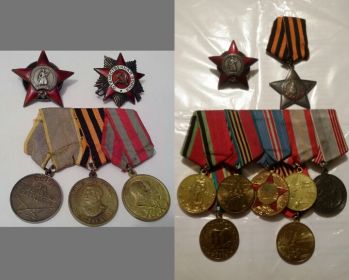 2 Ордена красной звезды, Орден Славы III степени, медаль "За боевые заслуги", орден Отечественной войны II  степени и множество памятных медалей