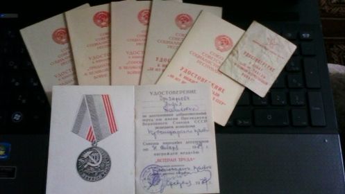медаль"За Победу над Германией в ВОВ 1941-1945 гг."