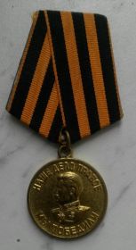 Медаль "За Победу на Германией"