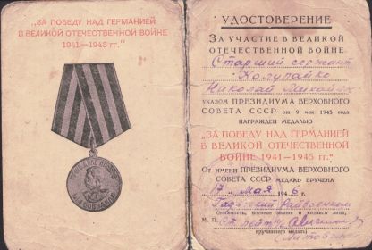 Медаль за победу над Германией в Великой Отечественной Войне 1941-1945 гг.