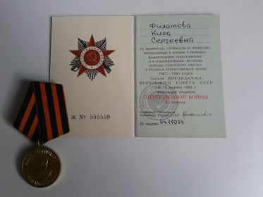 Орден Отечественной войны I I степени, Медаль"За победу над Германией"
