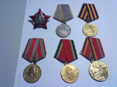орден Красной Звезды, медаль «За боевые заслуги», медаль «За победу над Германией», медаль к 20-ти и 30-летию победы в ВОВ