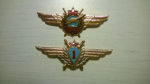 Военный летчик 1-го класса