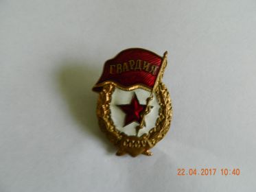 Нагрудный знак "Гвардия"