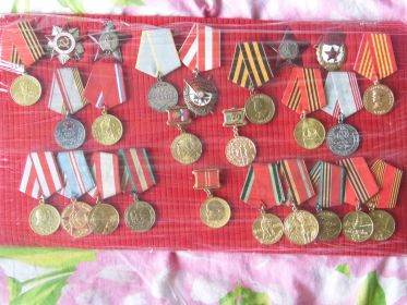 Орден боевого Красного знамени, два ордена Красной звезды, орден Отечественной войны II степени, медали "За боевые заслуги", "За Победу над Германией""