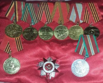 Орден Отечественной Войны II степени; Медаль "За победу над Германией"