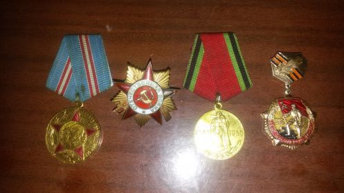 медаль «За Отвагу», орден Отечественной войны 1 степени, юбилейные медали Победы.