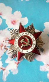 Орден Великой Отечественно войны и Юбилейные медали