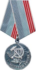 медаль "Ветерана Труда"