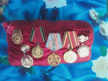 Медаль за отвагу,орден  Великой Отечественной Войны 1 степени,медаль За оборону Советского Заполярья