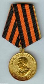 медаль за победу над Германией в ВОВ 1941-1945