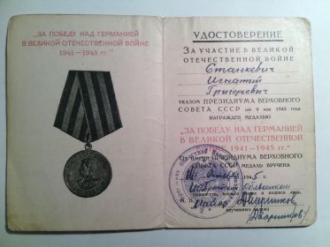 Медаль «За победу над Германией в Великой Отечественной войне 1941-1945 гг»