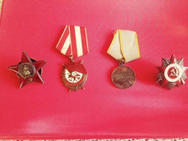 Орден Красной Звезды, Орден Красного Знамени, орден Отечественной войны II степени,  медаль За боевые заслуги