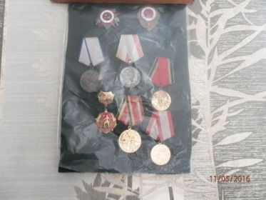 медаль "за отвагу",орден "Отечственная война","отличник санитарной службы"