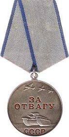 Медаль "За Отвагу", орден "Красная звезда", медаль "за победу над Германией", медаль "50 лет Вооружённых сил СССР"