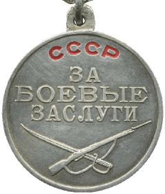 Медаль «За боевые заслуги» от 25.061944 года ( на следующий день после гибели)