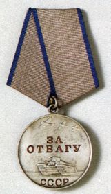 Медаль за отвагу. Приказ № 013/Н от 06.06.1943г
