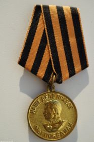 медаль «За победу над Германией»