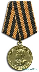 медалью «За победу над Германией в ВОВ 1941-1945 гг. Н № 1108439