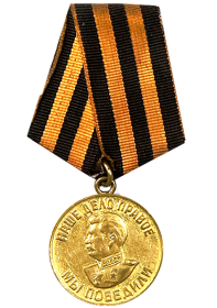 Медаль «За победу над Германией в годы Великой Отечественной войны 1941-1945 гг.»