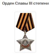 орден Славы III  степени