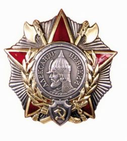орден Александра Невского, приказ от 31.10.1944 года по ВС 6 Гв. Армии