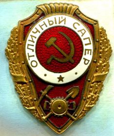 Нагрудный знак "Отличный сапёр"