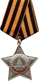 Орден Славы III степени в 1945 году