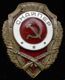 нагрудный знак "Отличный снайпер"