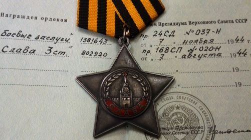 орден "Славы"3 ст. № 802920