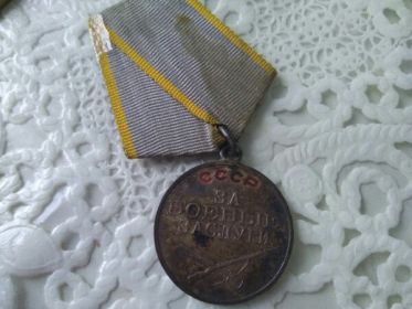 Медаль за боевые заслуги № 2625948