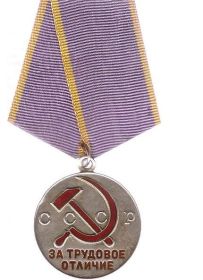 медаль за Трудовые отличия