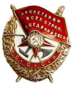 Награжден орденом Боевого Красного Знамени 06.04.1943 приказ № 76