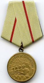 медаль "За боевые заслуги", медаль "За взятие Вены", медаль "За оборону Сталинграда", медаль "За взятие Будапешта", медаль "За победу"